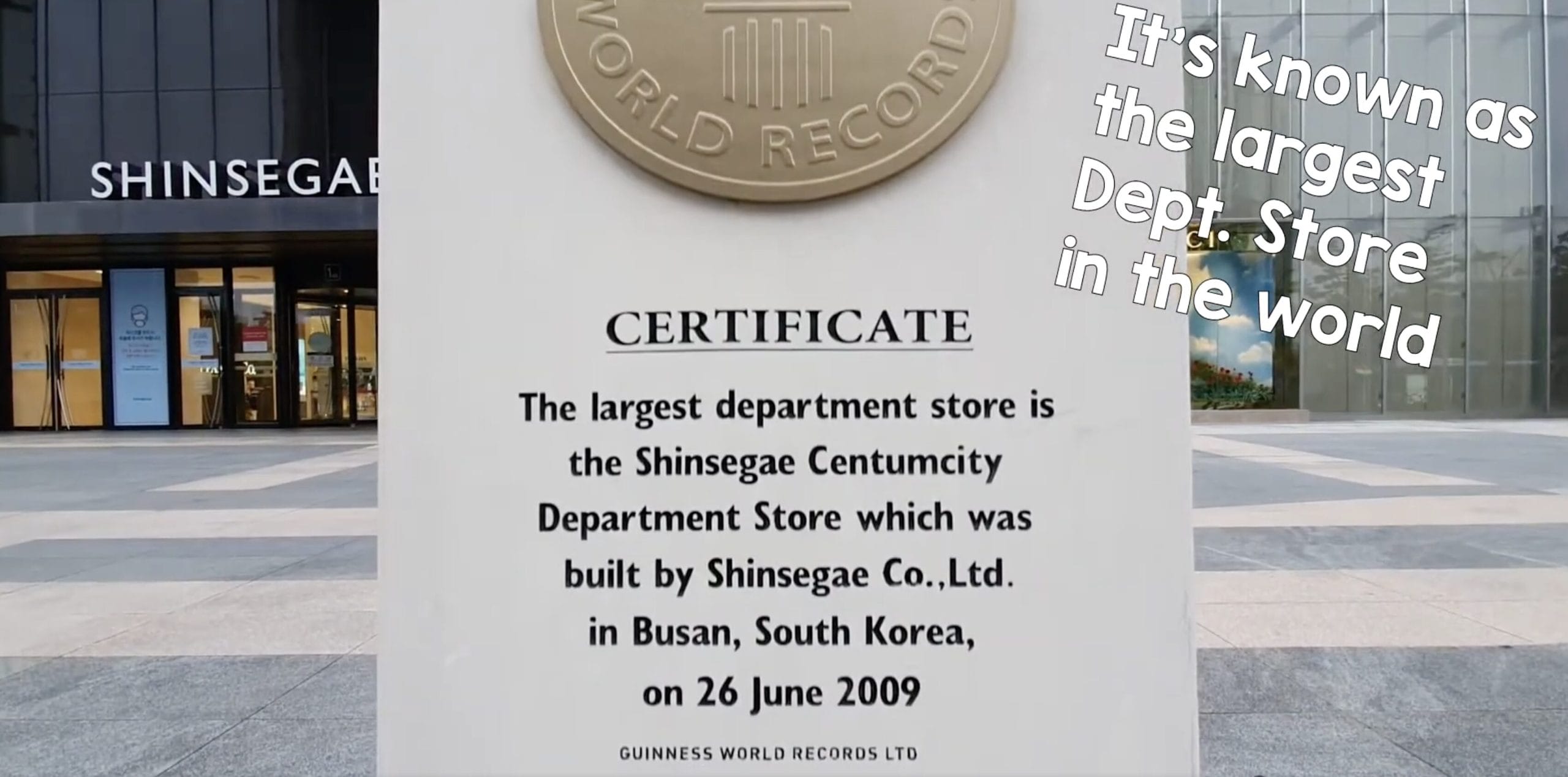 Shinsegae 2